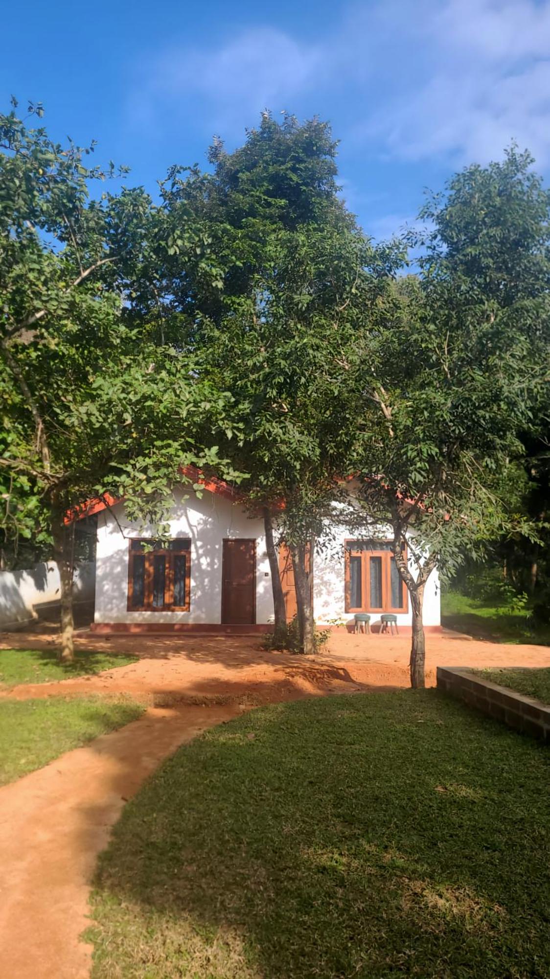 Lion King Jungle Cabanas Sigiriya Exterior foto