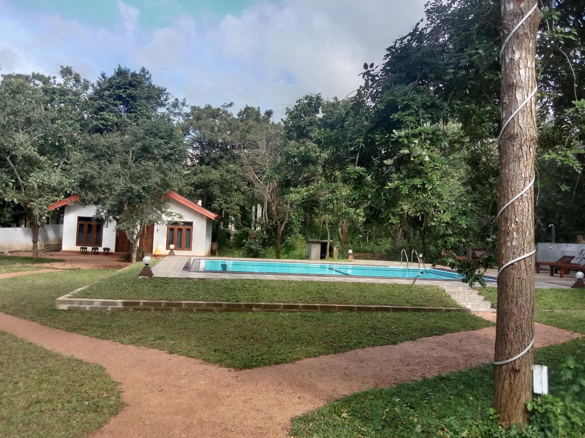 Lion King Jungle Cabanas Sigiriya Exterior foto
